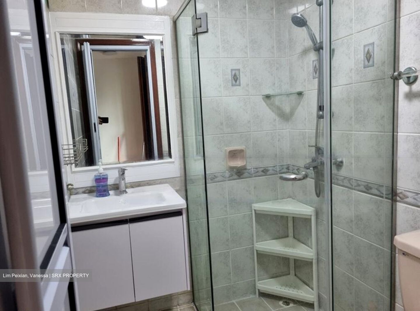 Hazel Park Condominium (D23), Condominium #481841141